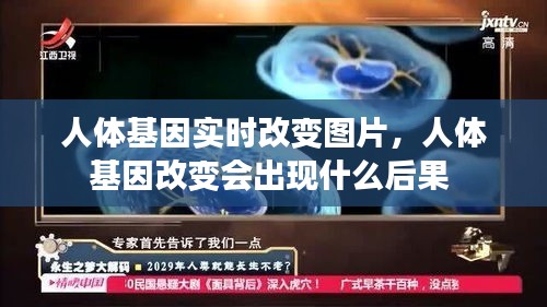 第1146页