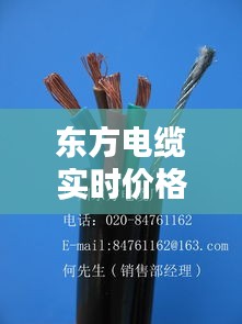 雅人深致 第3页