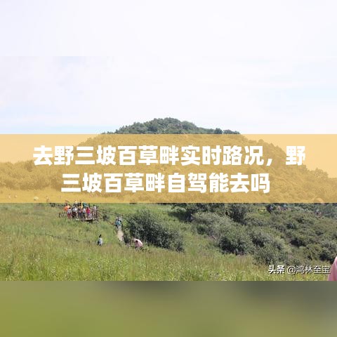 去野三坡百草畔实时路况，野三坡百草畔自驾能去吗 
