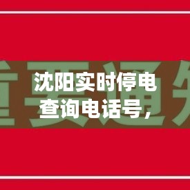 沈阳实时停电查询电话号，沈阳实时停电查询电话号码 