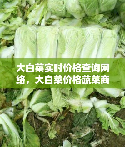 大白菜实时价格查询网络，大白菜价格蔬菜商情网 