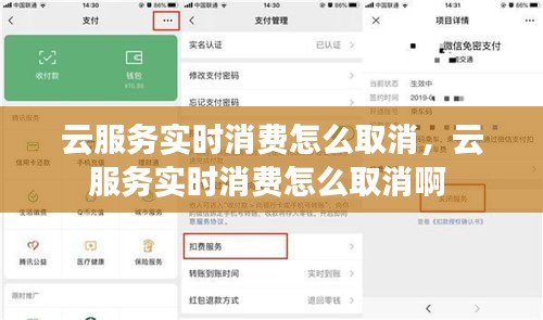 云服务实时消费怎么取消，云服务实时消费怎么取消啊 