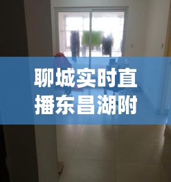 聊城实时直播东昌湖附近，聊城东昌湖附近小区 
