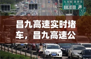 第1100页