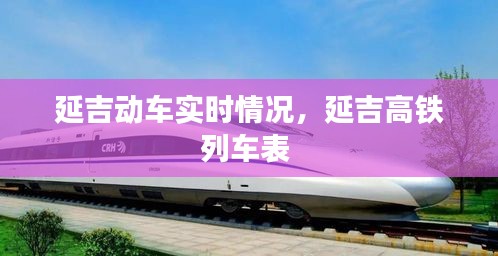 延吉动车实时情况，延吉高铁列车表 