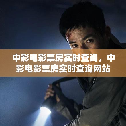 中影电影票房实时查询，中影电影票房实时查询网站 