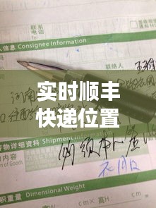 实时顺丰快递位置怎么查，实时顺丰快递位置怎么查不到 