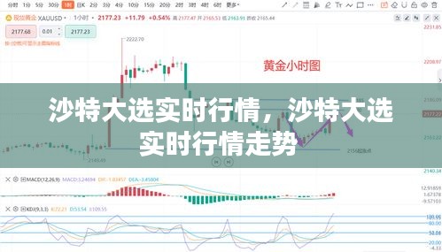 沙特大选实时行情，沙特大选实时行情走势 