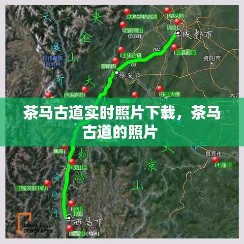 第1085页