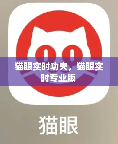 集思广益 第3页