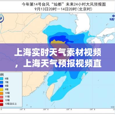 上海实时天气素材视频，上海天气预报视频直播 