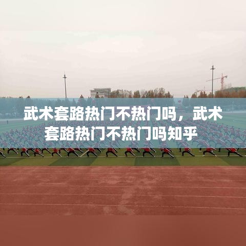 武术套路热门不热门吗，武术套路热门不热门吗知乎 