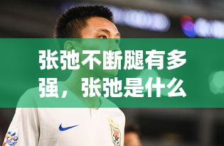 张弛不断腿有多强，张弛是什么 