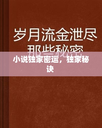小说独家密运，独家秘诀 