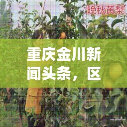 重庆金川新闻头条，区域发展最新动态引领者