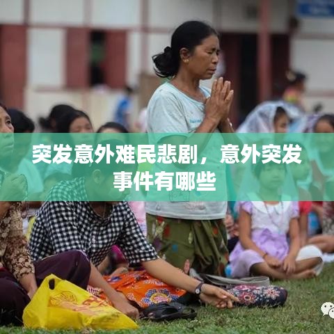 首鼠两端 第2页