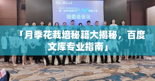 「月季花栽培秘籍大揭秘，百度文库专业指南」