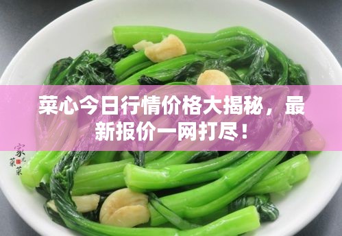 菜心今日行情价格大揭秘，最新报价一网打尽！