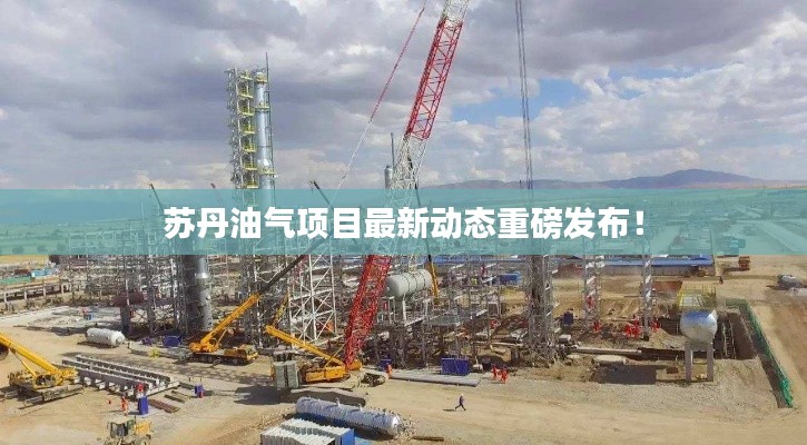苏丹油气项目最新动态重磅发布！