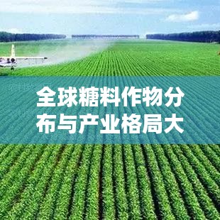 全球糖料作物分布与产业格局大揭秘，世界糖源排名榜单揭晓！