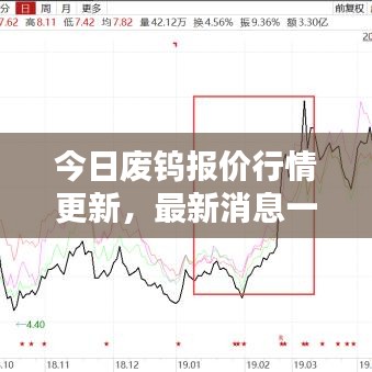 今日废钨报价行情更新，最新消息一览