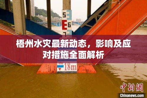 梧州水灾最新动态，影响及应对措施全面解析