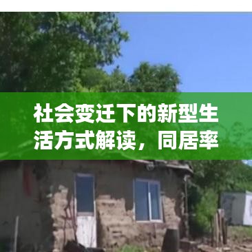 社会变迁下的新型生活方式解读，同居率持续上升现象探讨
