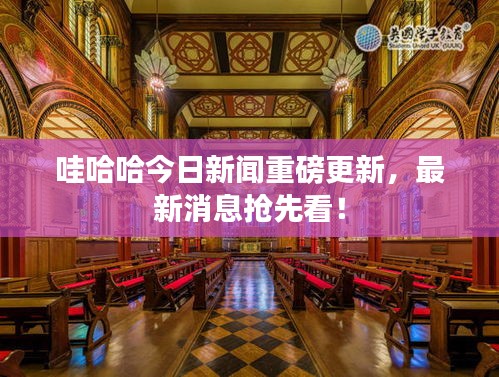 哇哈哈今日新闻重磅更新，最新消息抢先看！