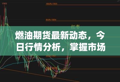 燃油期货最新动态，今日行情分析，掌握市场走势！