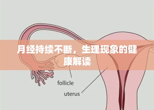 月经持续不断，生理现象的健康解读