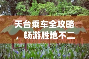天台乘车全攻略，畅游胜地不二之选！