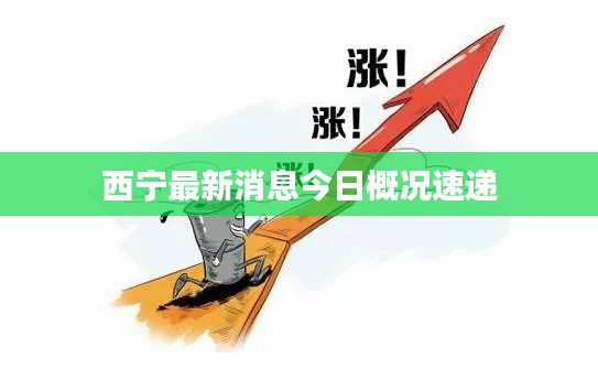 西宁最新消息今日概况速递