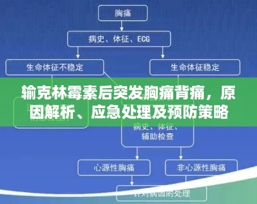 输克林霉素后突发胸痛背痛，原因解析、应急处理及预防策略