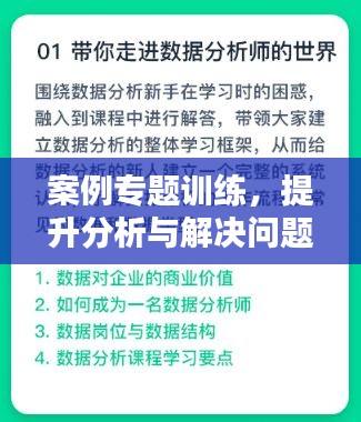案例专题训练，提升分析与解决问题能力的实战之路