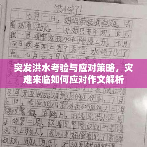 突发洪水考验与应对策略，灾难来临如何应对作文解析