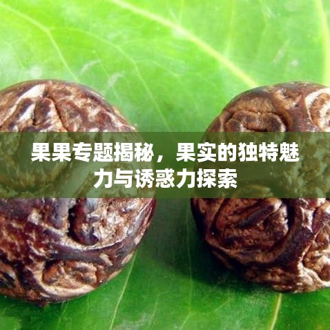 臼灶生蛙