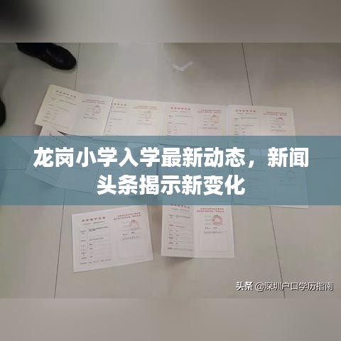 龙岗小学入学最新动态，新闻头条揭示新变化