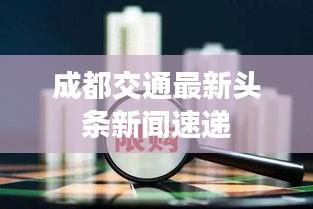 澹泊明志，宁静致远