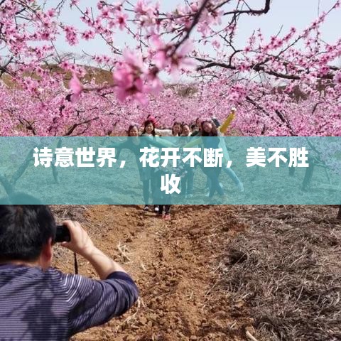 炙手可热