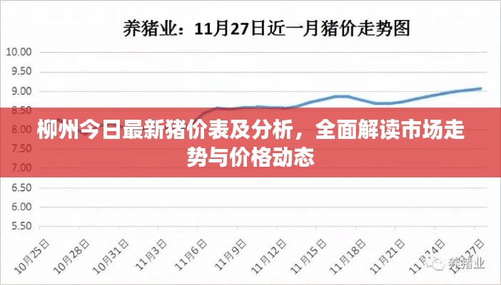 2025年5月19日
