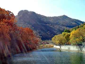 唐山崔丽娜，揭秘她的百度足迹之旅