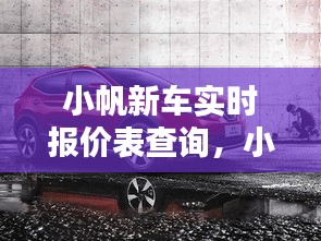 小帆新车实时报价表查询，小帆汽车 
