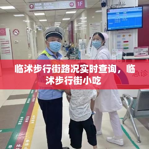 临沭步行街路况实时查询，临沭步行街小吃 