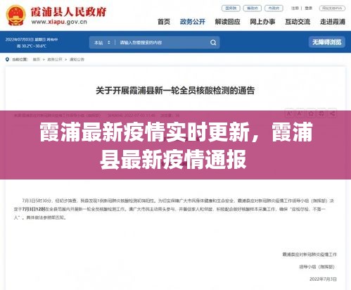 霞浦最新疫情实时更新，霞浦县最新疫情通报 