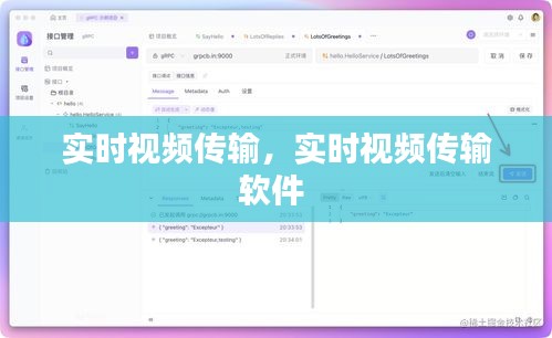 实时视频传输，实时视频传输软件 