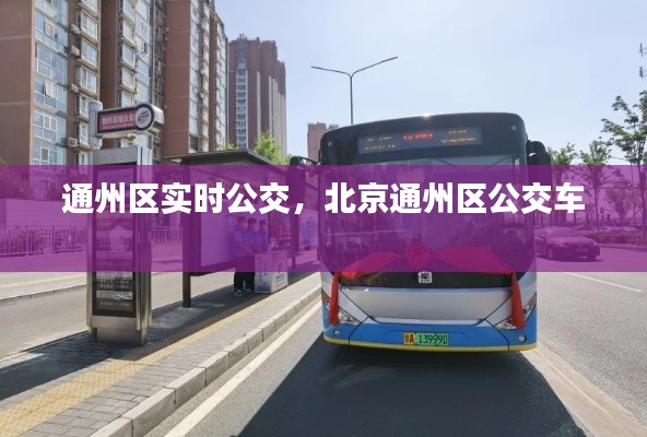 客户服务 第226页