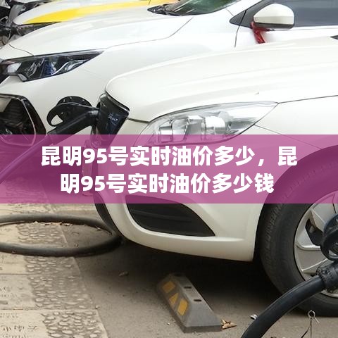 昆明95号实时油价多少，昆明95号实时油价多少钱 