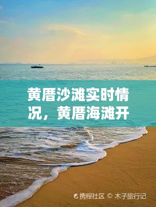 关于我们 第227页