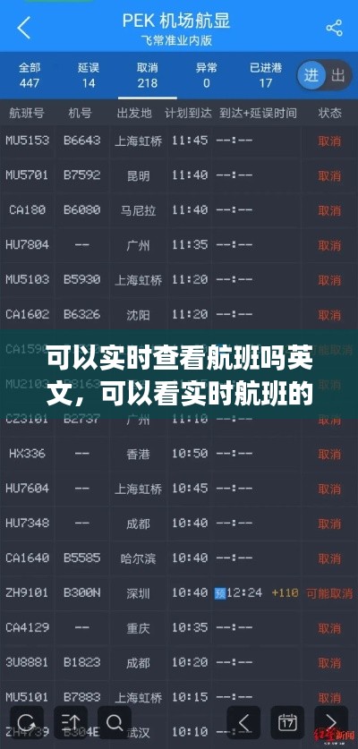 可以实时查看航班吗英文，可以看实时航班的app 