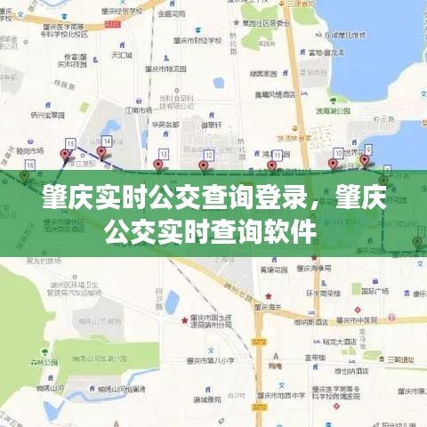 肇庆实时公交查询登录，肇庆公交实时查询软件 